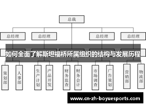 如何全面了解斯坦福桥所属组织的结构与发展历程