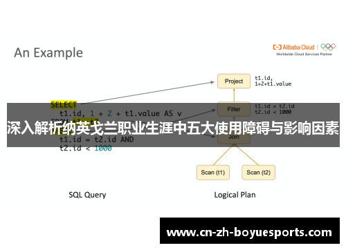 深入解析纳英戈兰职业生涯中五大使用障碍与影响因素
