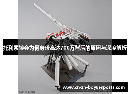 托利索转会为何身价高达700万背后的原因与深度解析