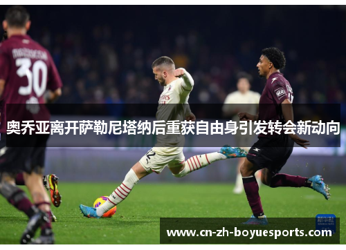 奥乔亚离开萨勒尼塔纳后重获自由身引发转会新动向 奥乔亚离开萨勒尼塔纳后重获自由身引发转会新动向