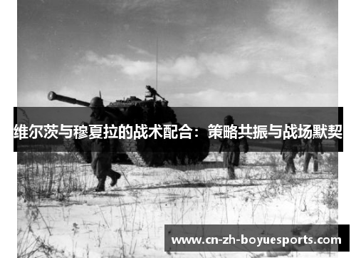 维尔茨与穆夏拉的战术配合:策略共振与战场默契 维尔茨与穆夏拉的战术配合:策略共振与战场默契